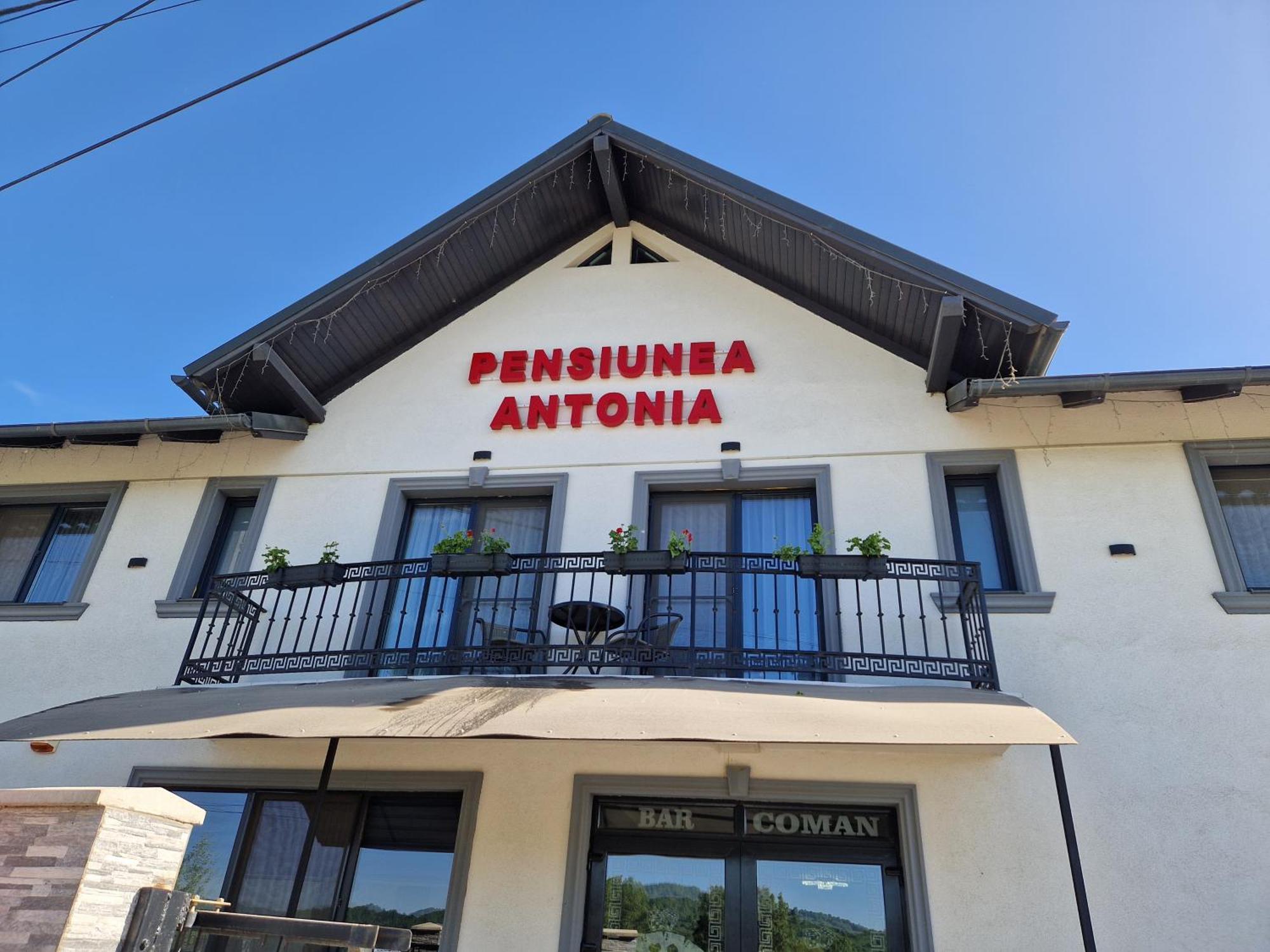 Pensiunea Antonia Сигіт Номер фото